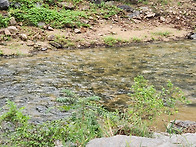 230812 토 비온뒤..