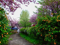 봄의 이야기