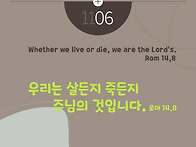 [말씀묵상] 연중 31주간(..