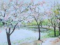일산 호수공원
