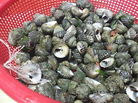 26.찾아가는 밥상