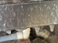 2026년 병오년 1월 1일