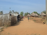 당신의 손길이 광야에 첫 길이 됩니다