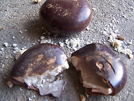 거풍습(祛風濕)하..