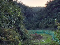 오랜만에 약초산행..ㅎ