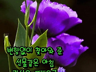 2025년 5월 28일 수요일 ..