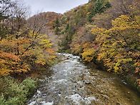 제94회 정기 트레..