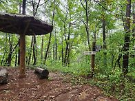 제93회 정기 트레..