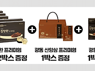 광동 침향함 푸리미엄