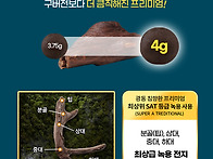 광동 침향함 푸리미엄