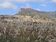 합천의 백대명산 황매산 ..
