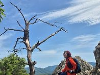 6월 6일 팔봉산 사진몇장