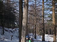 2026/02/21 태기산 원정산행 사진(1)