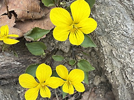 2026.03.27 백운대