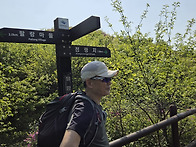 2, 지리산 바래봉 언저리 부운치 팔랑치....