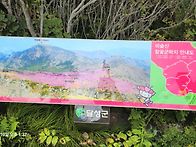 ＜백대명산 대구 달성군 ..