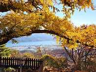 운길산. 동영상, 풍경