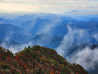 지리산 단풍은 이..