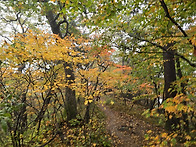 2025년 동서트레일 장애인..