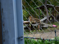 2025년 동서트레일 장애인..