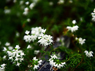 2025년 동서트레일 장애인..