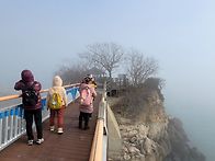 장봉도 26/02/11
