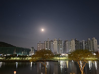 새벽 산책길 풍경