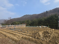 (한달간 한시적 8천인하!..