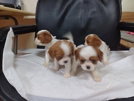 40일 넘어선 아이들^