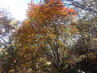 산청왕산필봉산행가던날A~..