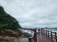7/21(화)태안 서해바다와 ..