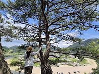 2026.07.25. 문경여행