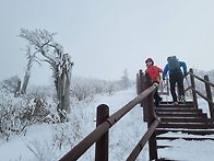 2월1일 함백산 정암사 황..