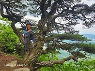 25.5.17일 천마산 ( 모..