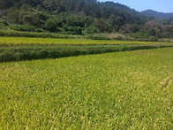 길따라산수따라갔다와서