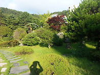 부산가야동의대아침나들이..