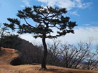 26.02.27(금) 강화 정족산..