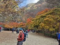 25.11.09.(일) 순창 강천..