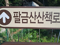 안창산책길을갔다와서