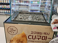 동래골든라이언.도..