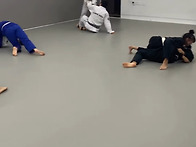 동래골든라이언.도..