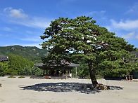 완주 위봉사