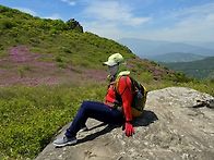 황매산 철쭉