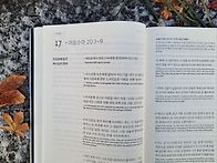 2025년 12월 17일(수)