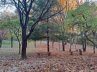 요한복음 13:31~35 주님..