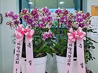 에베소서 2:20~22 함께 ..