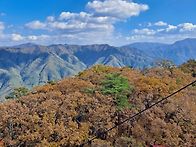 스가랴 10:1~12 휘파람을 ..