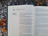 2025년 12월 15일(월)