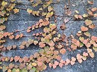 마태복음 25:1~13 깨어 ..