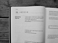 2026년 7월 11일(토)